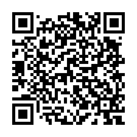 QR code for plate 053-493