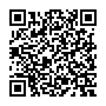 QR code for 0541