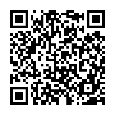 QR code for plate 061-676