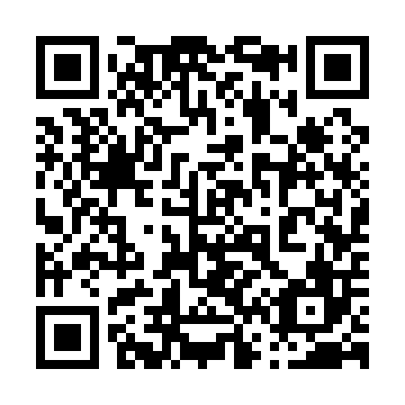 QR code for plate 063-106