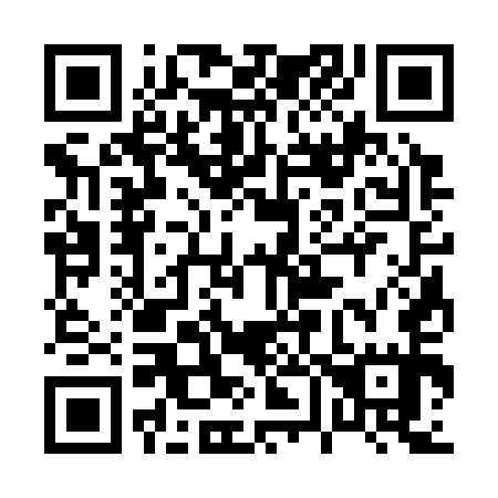 QR code for plate 063-355