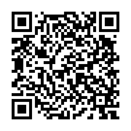 QR code for plate 063-482