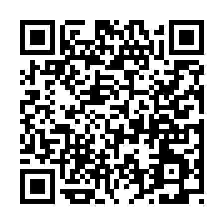 QR code for 06650