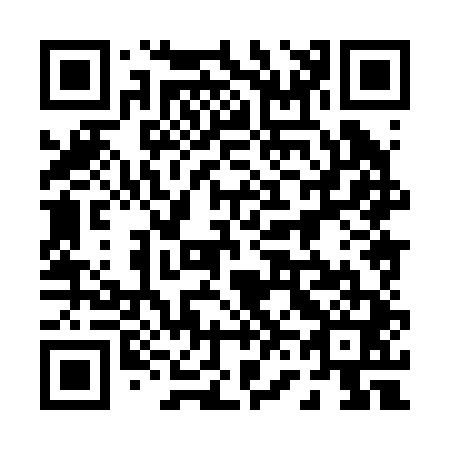QR code for plate 068-241