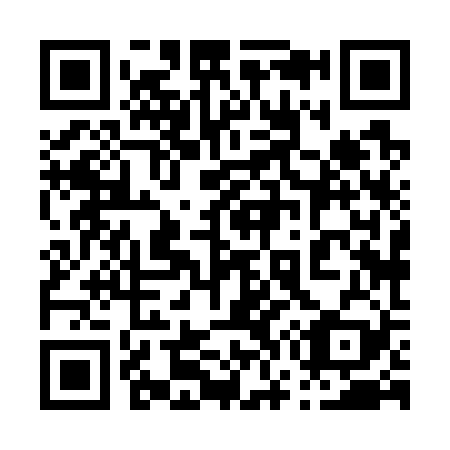 QR code for 078729