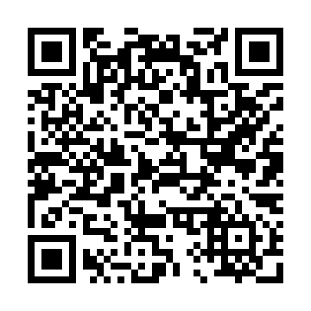 QR code for plate 096-994