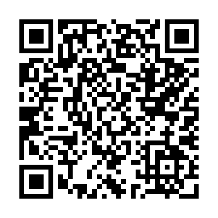 QR code for 11729