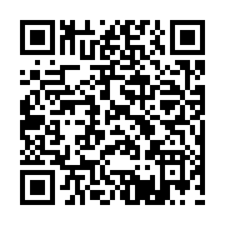QR code for 11738