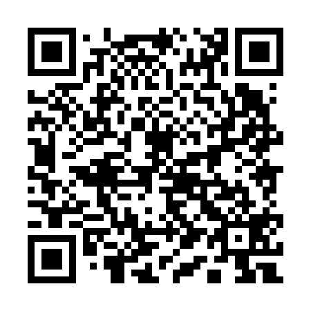 QR code for 118619