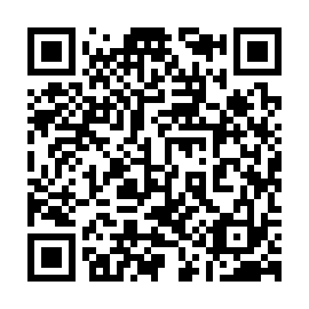 QR code for 119-333