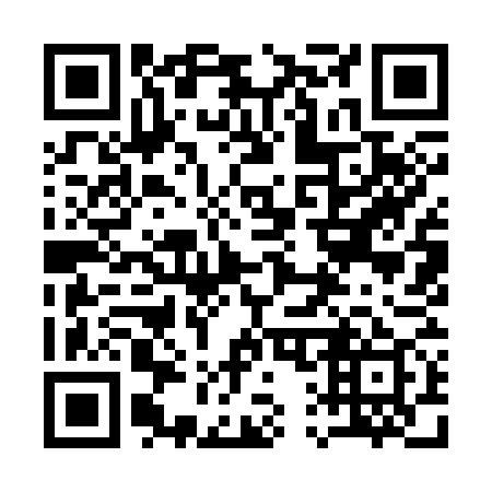 QR code for plate 119-379