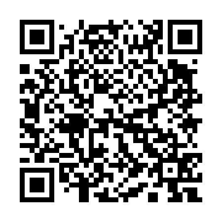 QR code for plate 119-475