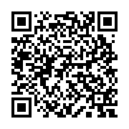 QR code for plate 123-311