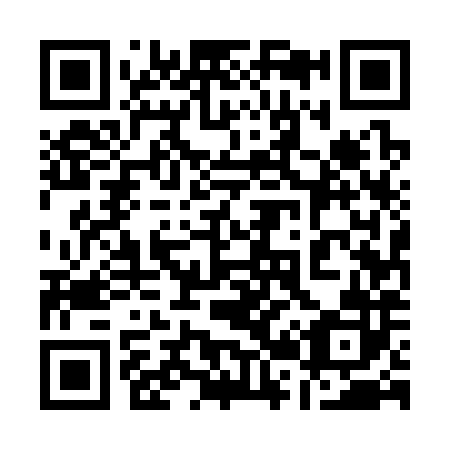 QR code for plate 125-382