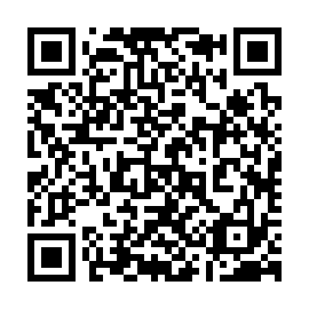 QR code for 132333