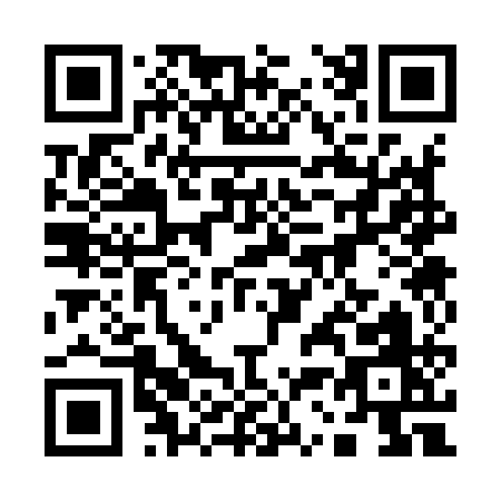 QR code for 13391