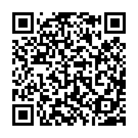 QR code for plate 140-498