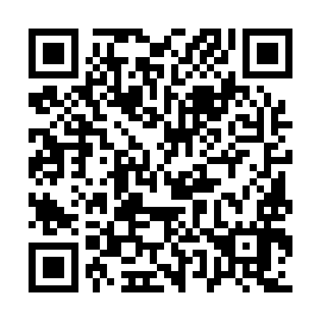 QR code for plate 155-197