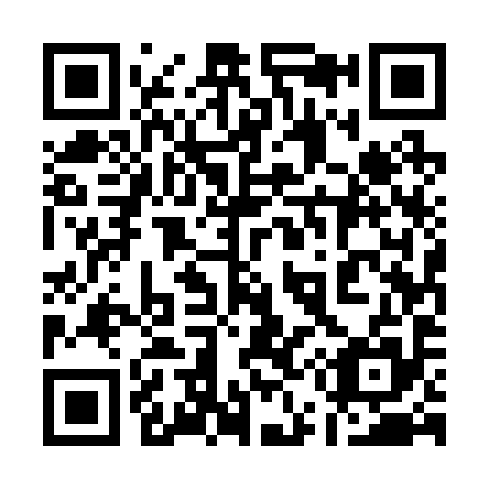 QR code for 155295