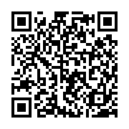 QR code for 155733