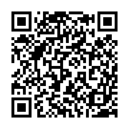 QR code for 161-453
