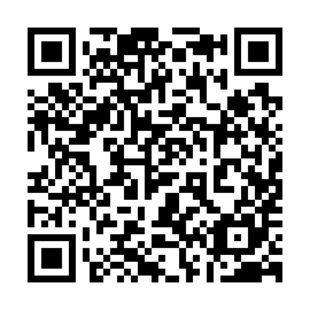 QR code for 161-785