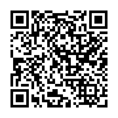 QR code for plate 163-341