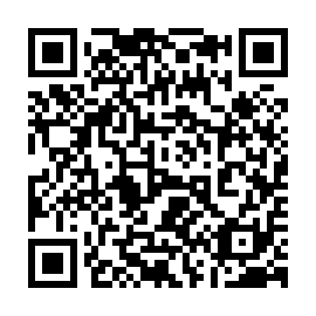 QR code for plate 163-811
