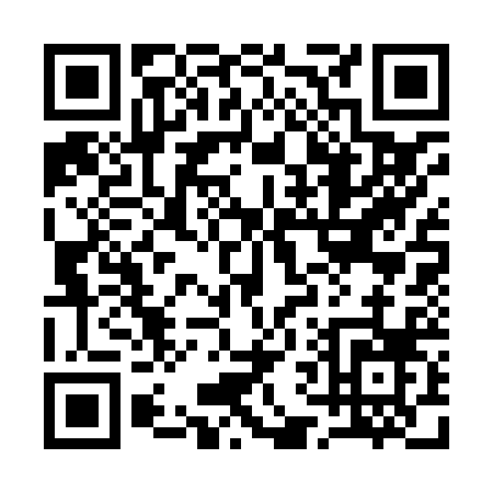 QR code for 16382