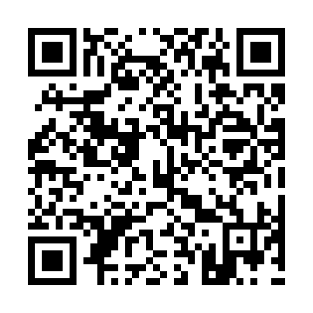 QR code for plate 170-294