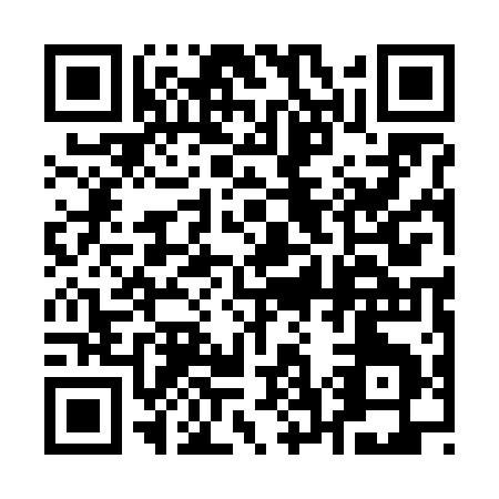 QR code for 17161