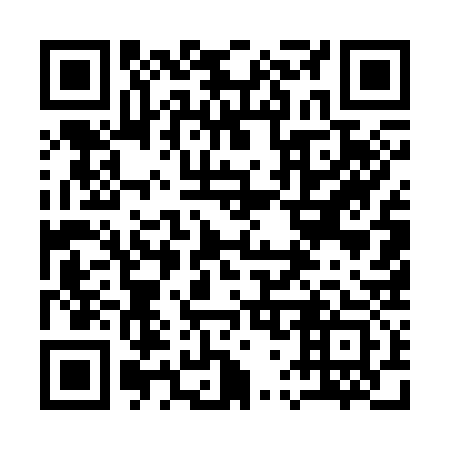 QR code for plate 175-333