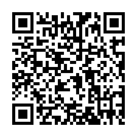 QR code for 17595