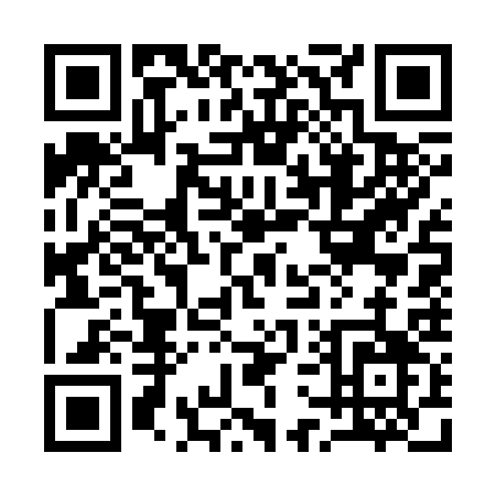 QR code for 17733