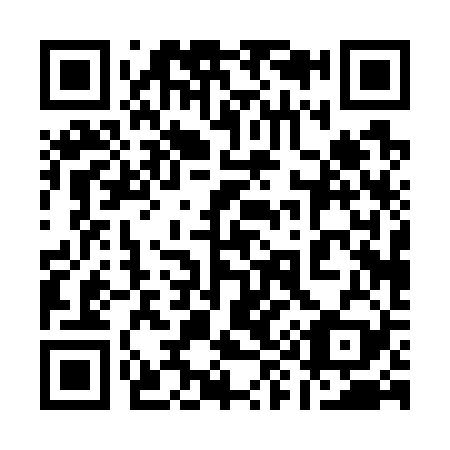 QR code for plate 190-729