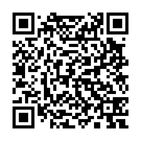 QR code for plate 193-038