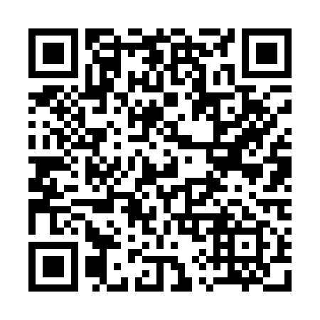 QR code for plate 196-119