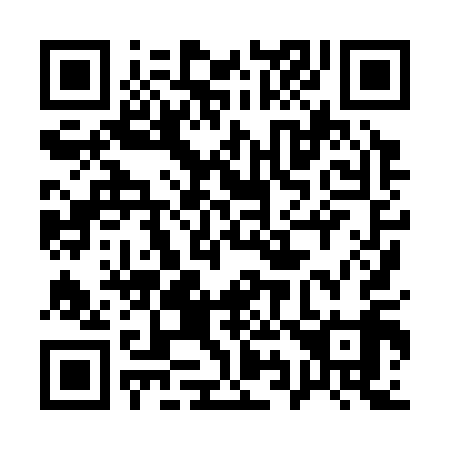 QR code for 198-319