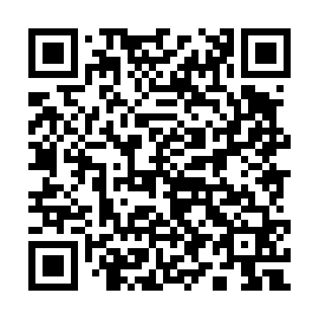 QR code for 198-460