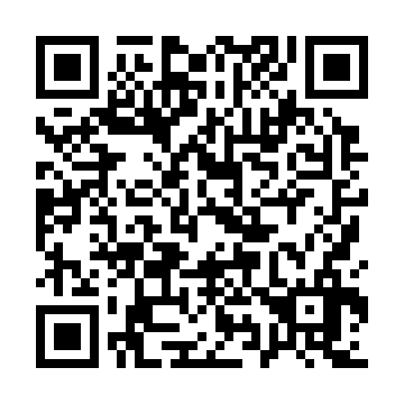 QR code for 198336