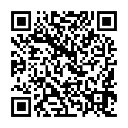 QR code for 199-993