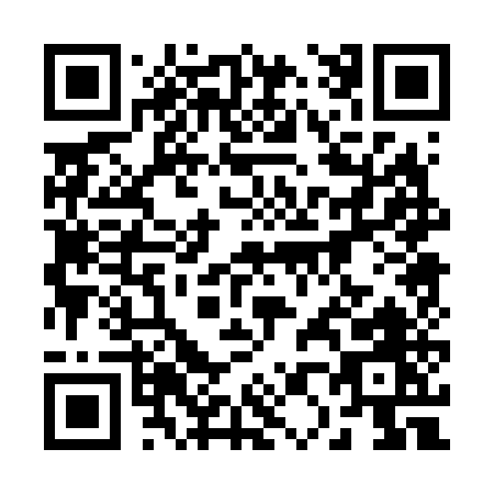 QR code for 20065