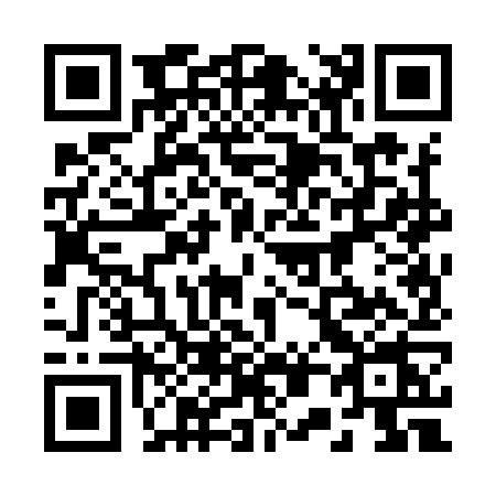 QR code for 2009