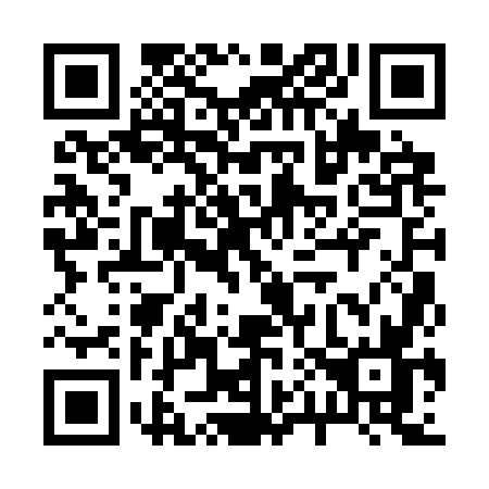 QR code for 2013