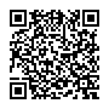QR code for 2038