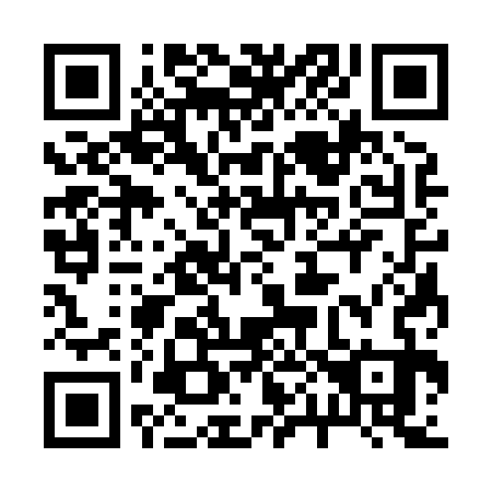 QR code for 203833