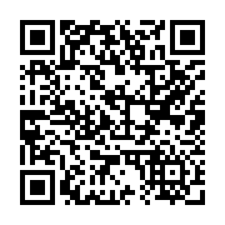 QR code for plate 203-976