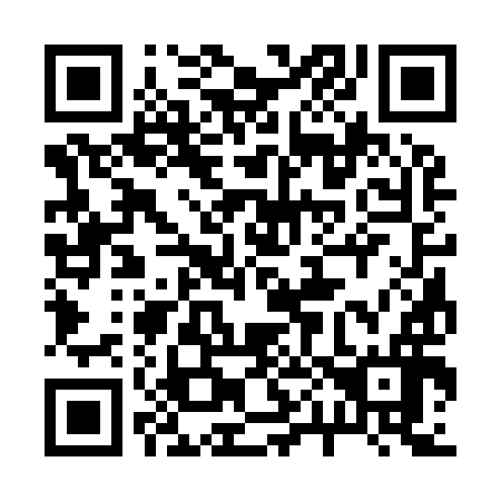 QR code for 203996