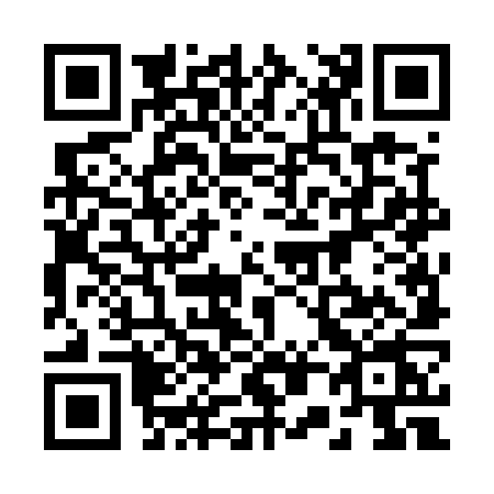 QR code for 2045