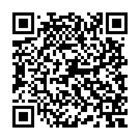 QR code for plate 204-504